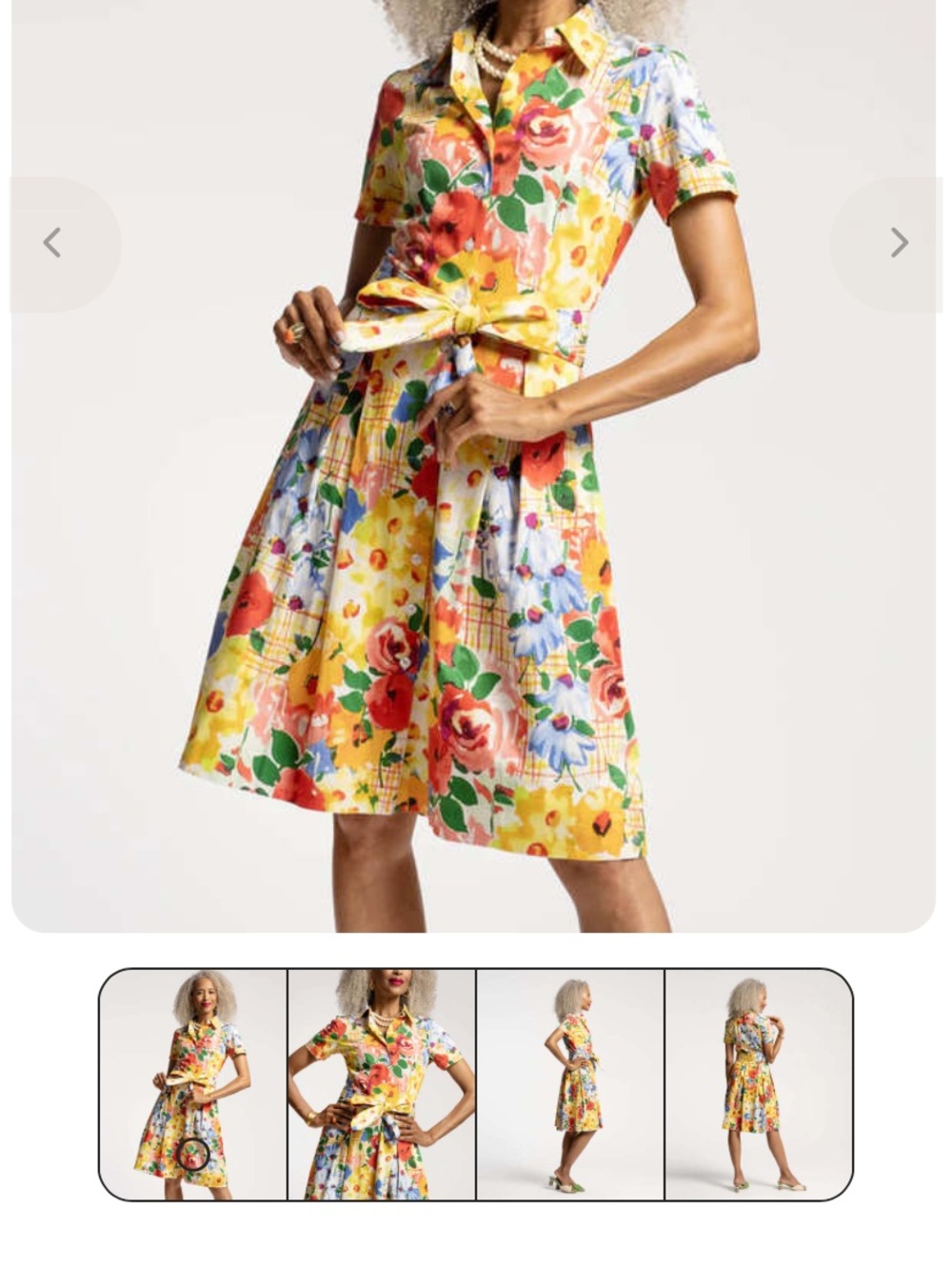 Frances Valentine Bella Dress - Picnic Print - Picture 5 of 7